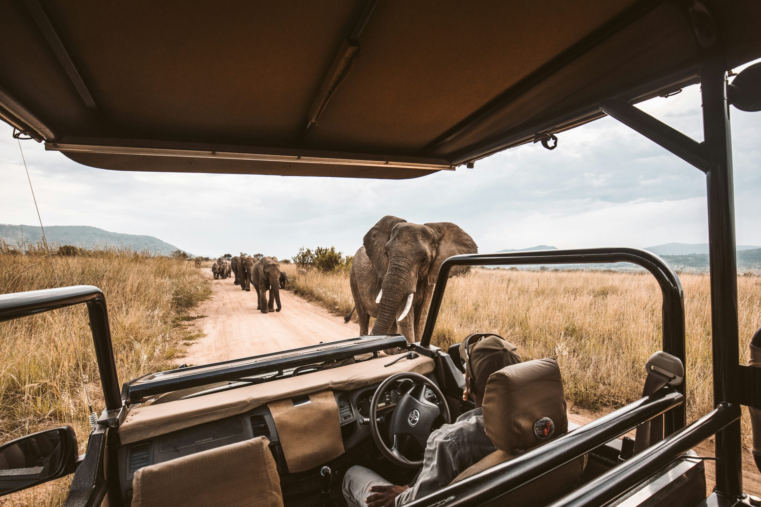 Tailor-Made Safari
